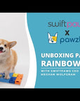Pawzler Set - Rainbow