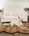 PupRug by Paw.com® Faux Fur Orthopedic Dog Bed - Curve Sable Tan