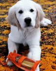 Turmeric Yak Milk Chews for Dogs