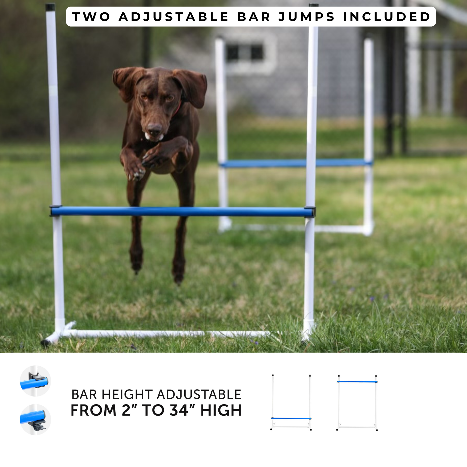 Basic Agility Equipment Set (7 Piece)