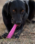Unicorn Horn Nylon Dog Chew Toy | Durable for Aggressive Chewers | SodaPup