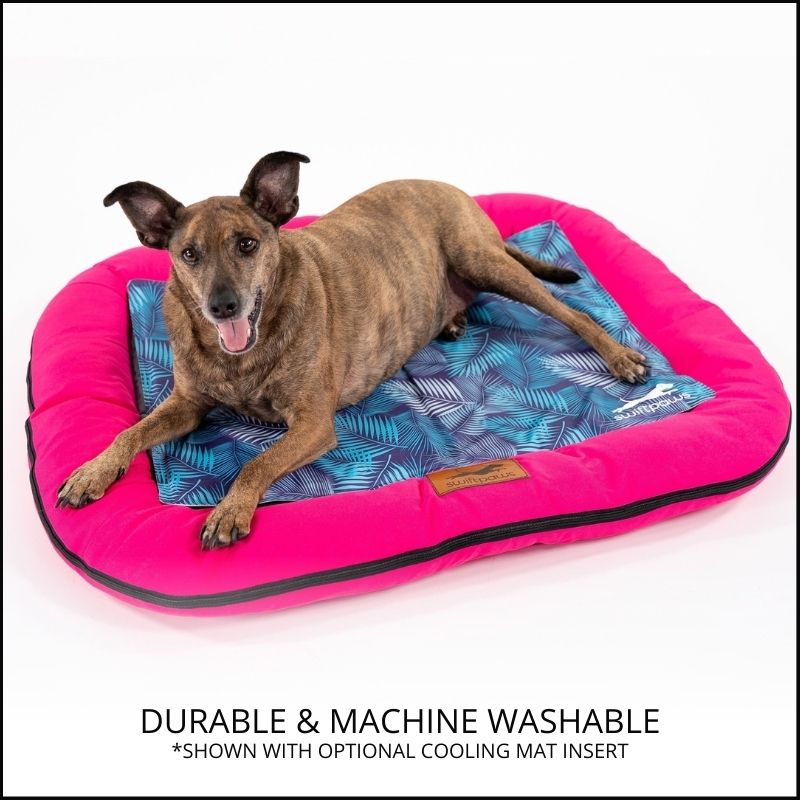 Pawz dog bed best sale