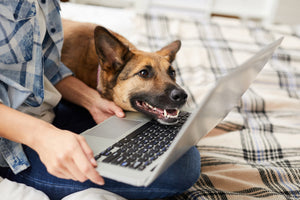 Canine Cabin Fever Virtual Summit