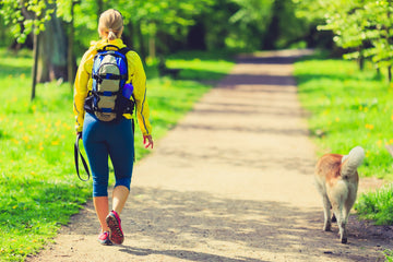 Exercise for Dogs is More Important Than Ever
