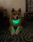 LED Dog Collar: Green
