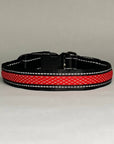LED Dog Collar: Blue