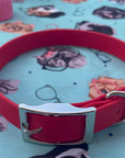 1 in Flat Collars *