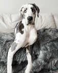 PupProtector™ Waterproof Throw Blanket - Charcoal Grey