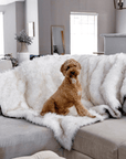 PupProtector™ Waterproof Throw Blanket - White with Brown Accents