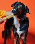 Pumpkin Yak Chews for Dogs