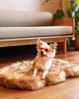 PupRug by Paw.com® Faux Fur Orthopedic Dog Bed - Curve Sable Tan