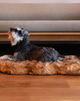 PupRug by Paw.com® Faux Fur Orthopedic Dog Bed - Curve Sable Tan