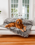 PupProtector™ Waterproof Throw Blanket - Charcoal Grey