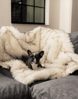 PupProtector™ Waterproof Throw Blanket - White with Brown Accents