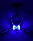 LED Dog Harness