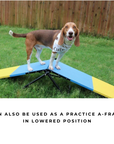 Practice See Saw