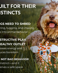 Destructibles  – The Ultimate Destruction Toy, Now Flirt Pole Compatible!