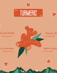Turmeric Yak Milk Chews for Dogs