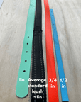 3/4" BioThane® Flat Dog Collar | Waterproof & Odor-Proof Adventure Collar *