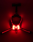 LED Dog Harness