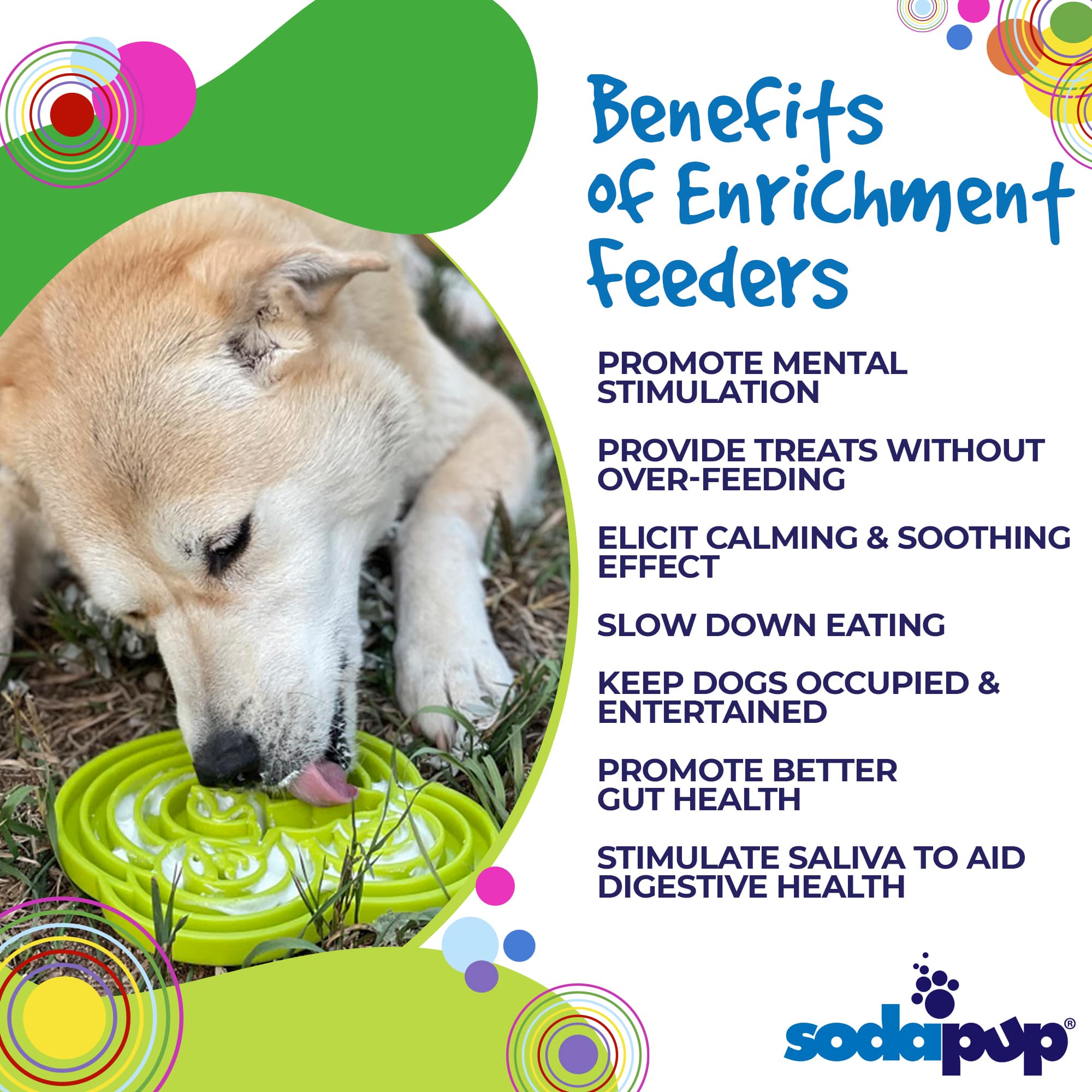Water Frog Design eTray Enrichment Tray for Dogs