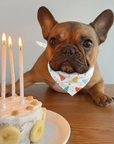 Birthday Dog Bandana