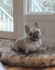PupRug by Paw.com® Faux Fur Orthopedic Dog Bed - Curve Sable Tan