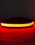LED Dog Collar: Green