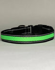 LED Dog Collar: Green