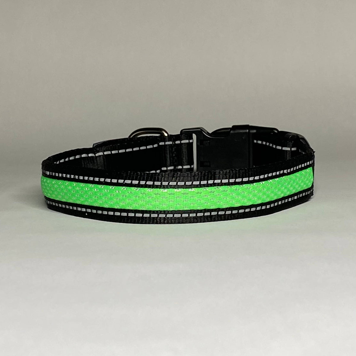 LED Dog Collar: Blue