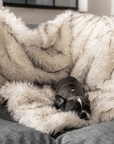 PupProtector™ Waterproof Throw Blanket - White with Brown Accents