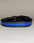 LED Dog Collar: Blue