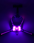 LED Dog Harness