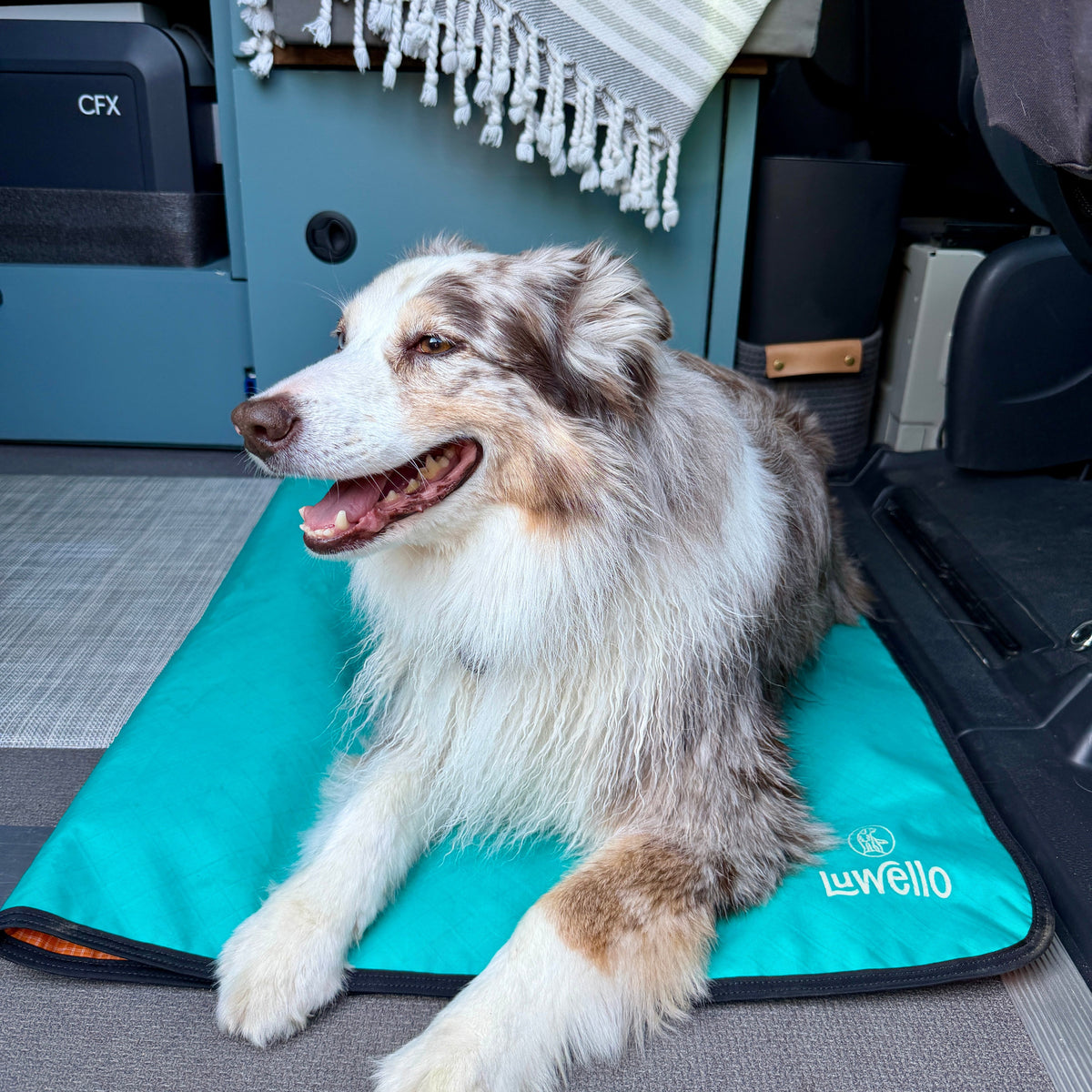 Non-Slip Settle Mat: Grip backing