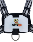 LED Dog Harness