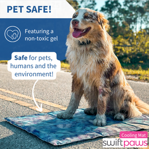 Swift Paws - Automated Fetch to keep Dogs Energetic, Active and Health –  MyAutomationGuru