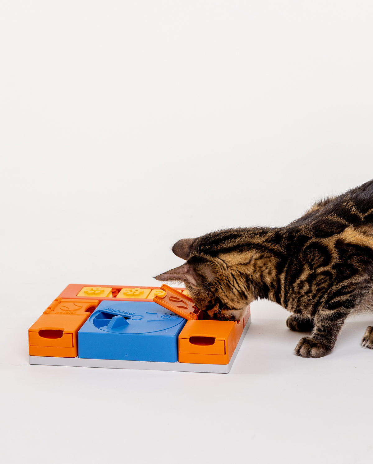 Pawzler Set - Curious Cat