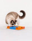 Pawzler Set - Curious Cat