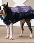 All Weather Dog Coat