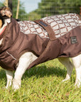 All Weather Dog Coat