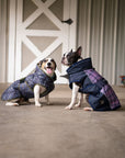 All Weather Dog Coat