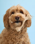 BetterBone SOFT Density-All-Natural, Perfect for teething Puppies, Older dogs, LIGHT chewers