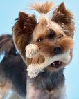 BetterBone SOFT Density-All-Natural, Perfect for teething Puppies, Older dogs, LIGHT chewers