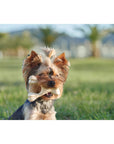 BetterBone Hard Density- Tough, SUPER Durable All-Natural, Dog Chews - For Aggressive Chewers.