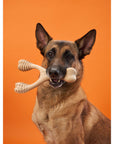 BetterBone Hard Density- Tough, SUPER Durable All-Natural, Dog Chews - For Aggressive Chewers.