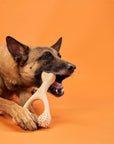 BetterBone Hard Density- Tough, SUPER Durable All-Natural, Dog Chews - For Aggressive Chewers.