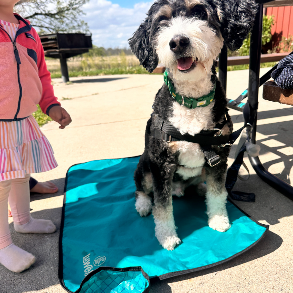 Non-Slip Settle Mat: Grip backing