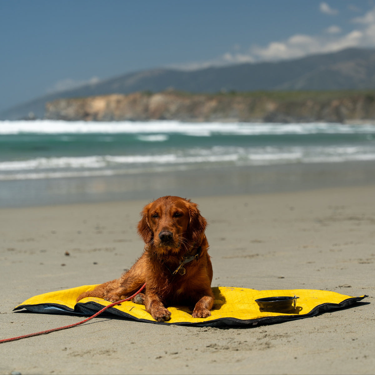 Non-Slip Settle Mat: Grip backing