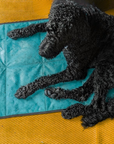 Non-Slip Settle Mat: Grip backing