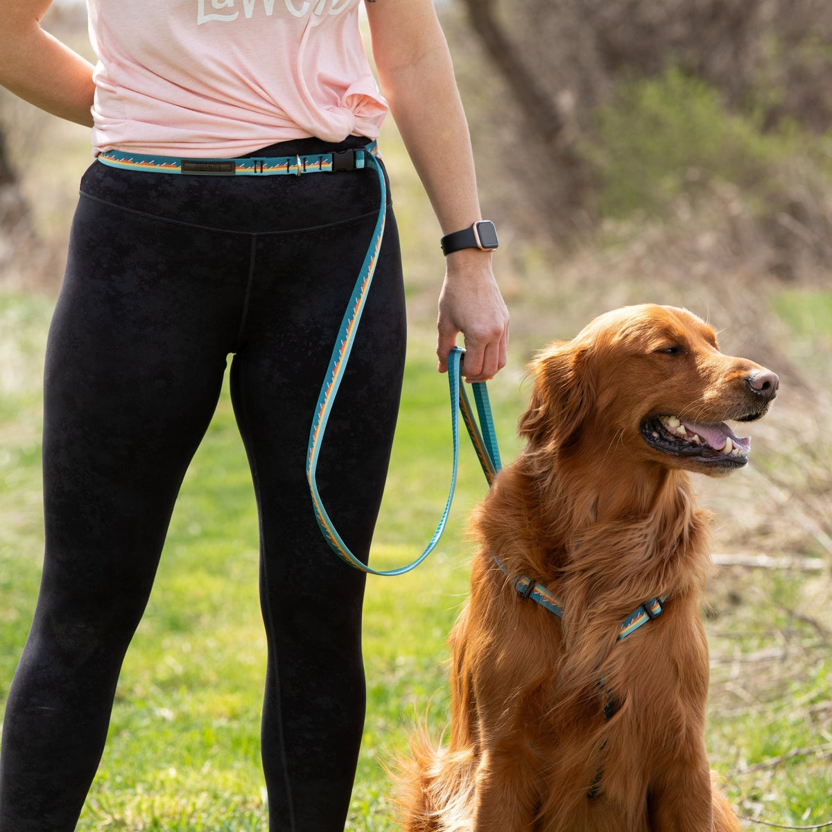 Adjustable Hands-Free Leash 1''
